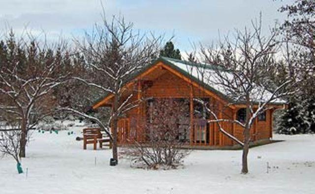 Central Chalets Ltd Alexandra Esterno foto