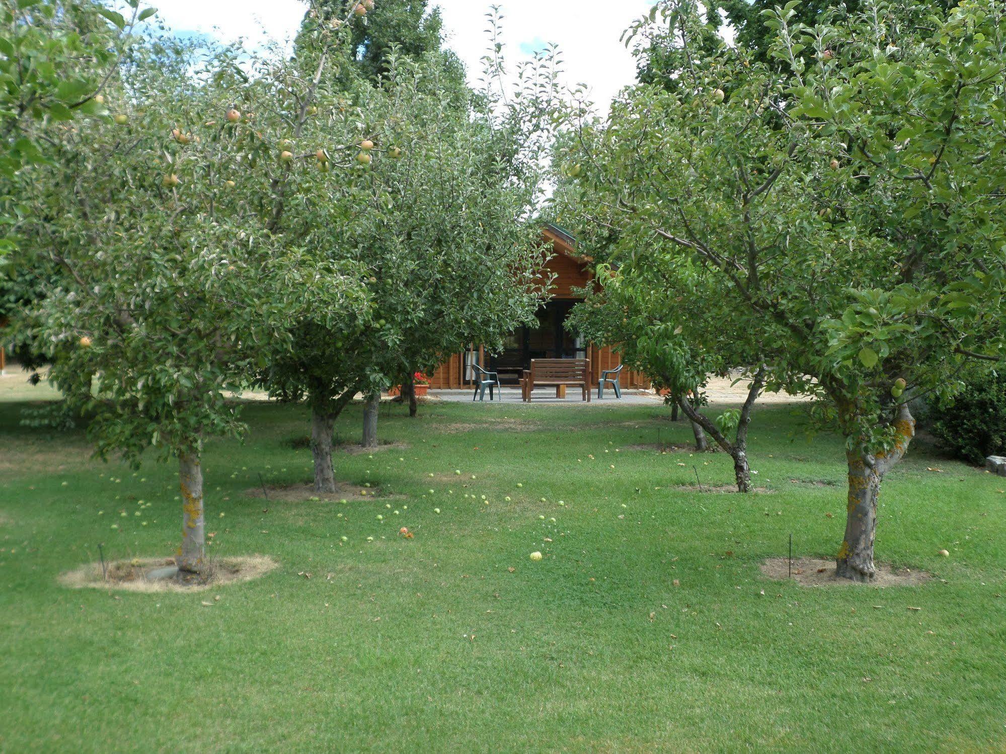 Central Chalets Ltd Alexandra Esterno foto